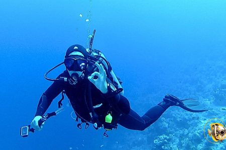 Pattaya Scuba Dive & Snorkel